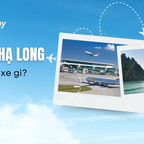 Cát Bi - Hạ Long nên đi xe gì? So sánh chi tiết từng loại xe Cát Bi - Hạ Long