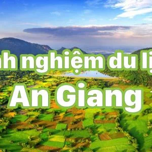 Khám phá rừng tràm Trà Sư – Vẻ đẹp hoang sơ đặc trưng của An Giang