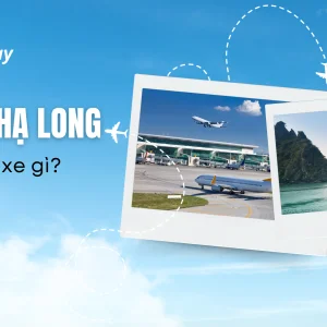 Cát Bi - Hạ Long nên đi xe gì? So sánh chi tiết từng loại xe Cát Bi - Hạ Long